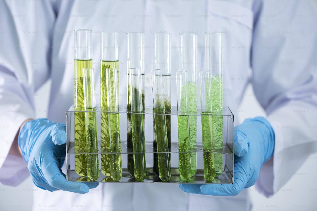 The scientist test the natural product extract, oil and biofuel solution, in the chemistry laboratory