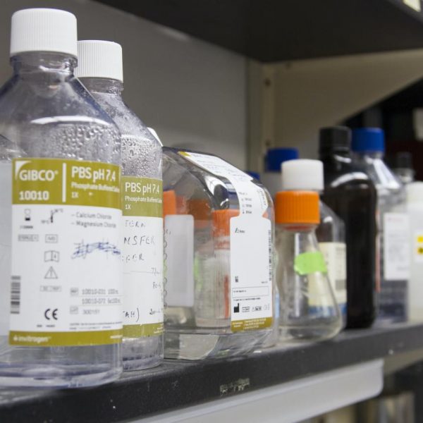 clear plastic bottle on table