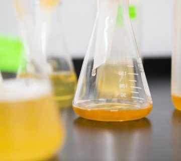 clear erlenmeyer flask on the table