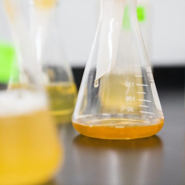 clear erlenmeyer flask on the table